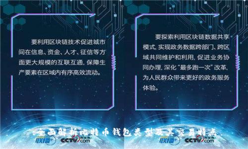 :全面解析比特币钱包类型及其交易特点