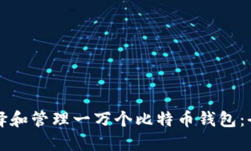 如何选择和管理一万个比特币钱包:全面指南