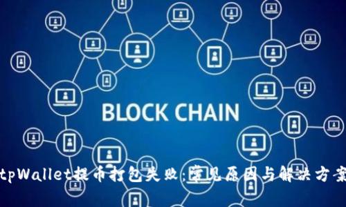 tpWallet提币打包失败:常见原因与解决方案