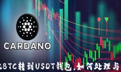 误把BTC转到USDT钱包,如何处理与预防