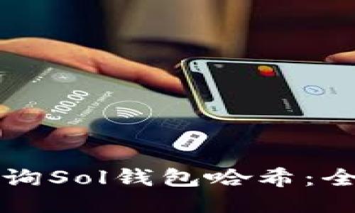 如何查询Sol钱包哈希:全面指南