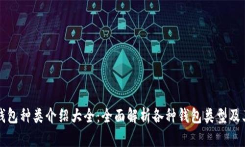 比特币钱包种类介绍大全:全面解析各种钱包类型及其优缺点