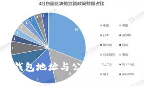 全面解析比特币钱包地址与公钥:安全性与使用策略指南
