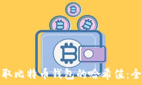 如何提取比特币钱包的哈希值:全面指南