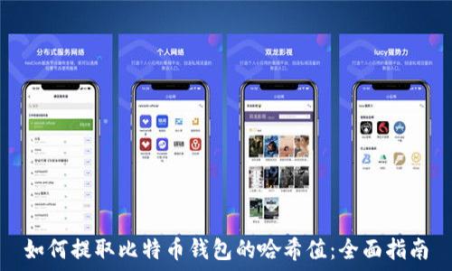 如何提取比特币钱包的哈希值:全面指南