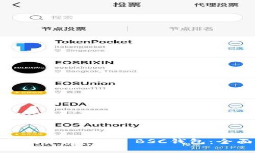 如何选择和使用TP BSC钱包:全面指南