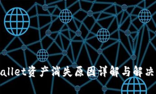 tpWallet资产消失原因详解与解决方案