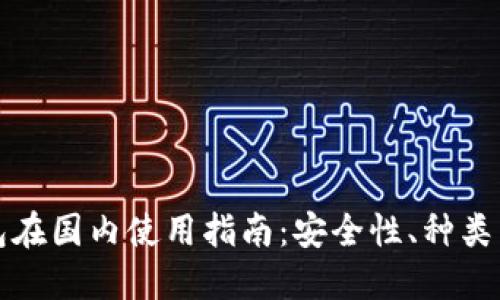 比特币钱包在国内使用指南:安全性、种类与选择技巧