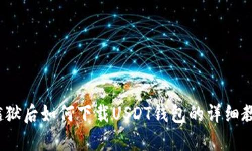 越狱后如何下载USDT钱包的详细教程
