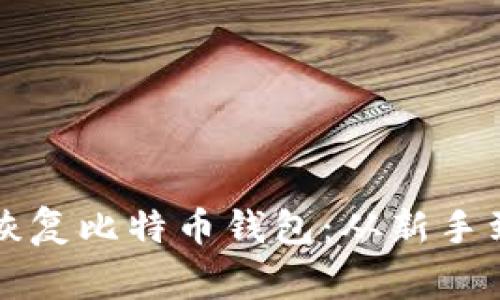 如何安全备份与恢复比特币钱包:从新手到专家的全面指南