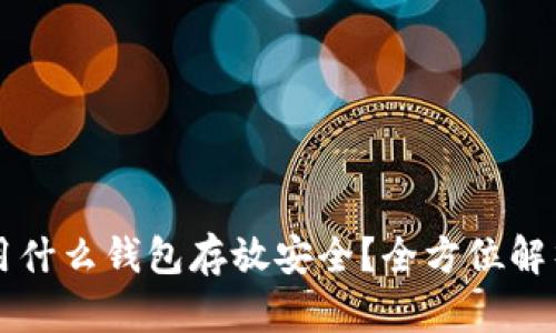 比特币用什么钱包存放安全?全方位解析与推荐