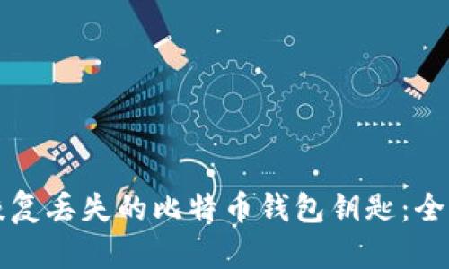 如何恢复丢失的比特币钱包钥匙:全面指南