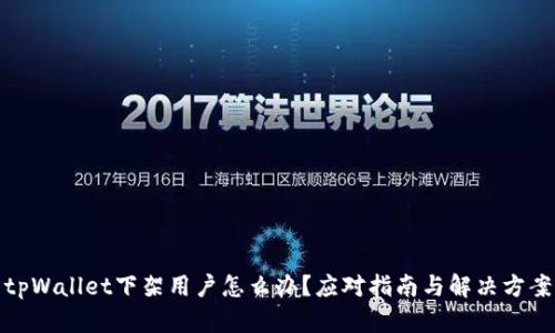 tpWallet下架用户怎么办?应对指南与解决方案