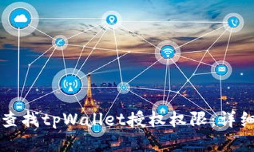 如何查找tpWallet授权权限:详细指南