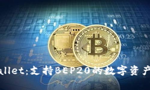 全面解析tpWallet:支持BEP20的数字资产安全管理工具