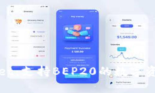 全面解析tpWallet:支持BEP20的数字资产安全管理工具