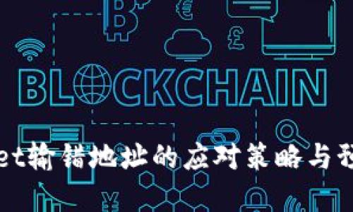 tpWallet输错地址的应对策略与预防方法