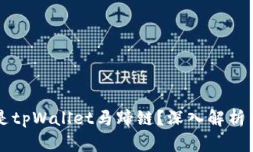 什么是tpWallet马蹄链?深入解析与应用
