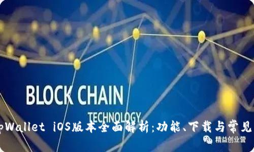 ### tpWallet iOS版本全面解析:功能、下载与常见问题解答