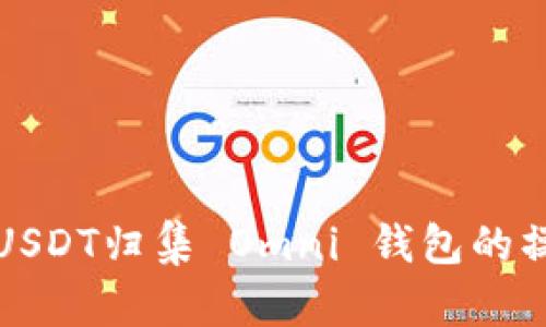 全面解析USDT归集 Omni 钱包的操作与技巧