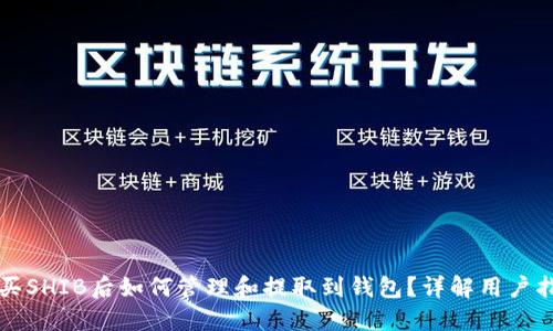 购买SHIB后如何管理和提取到钱包?详解用户指南