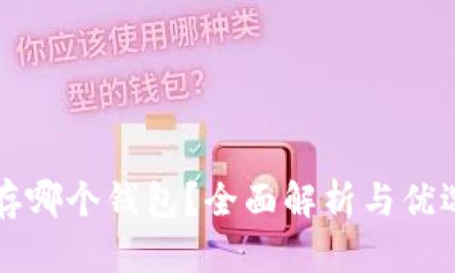 屎币存哪个钱包？全面解析与优选指南