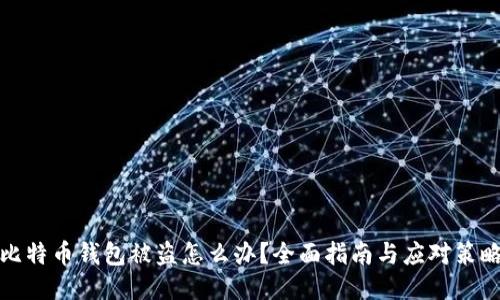 比特币钱包被盗怎么办?全面指南与应对策略