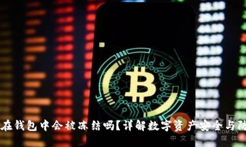 : USDT在钱包中会被冻结吗?详解数字资产安全与防范措施