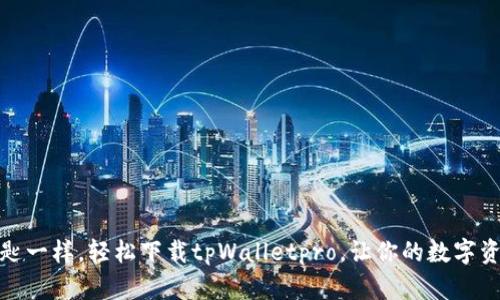 像获取金钥匙一样,轻松下载tpWalletpro,让你的数字资产安全无虑