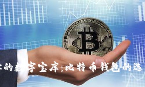 打造你的数字宝库：比特币钱包的选购指南