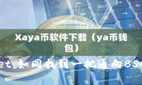 探索tpWallet:如同找到一把通向BSC宝藏的钥匙
