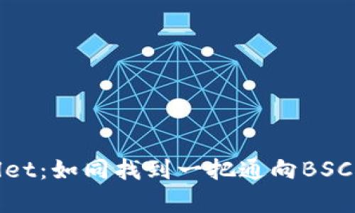 探索tpWallet:如同找到一把通向BSC宝藏的钥匙