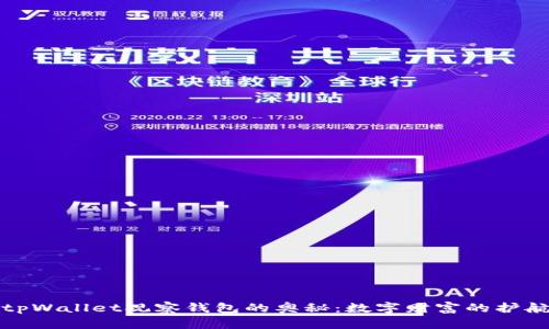 探索tpWallet观察钱包的奥秘:数字财富的护航使者