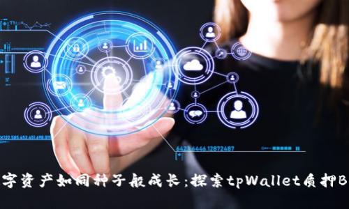 让你的数字资产如同种子般成长:探索tpWallet质押BDP的秘诀
