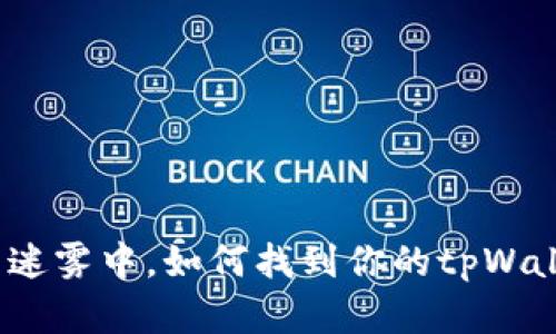 在金融世界的迷雾中,如何找到你的tpWallet转账记录?