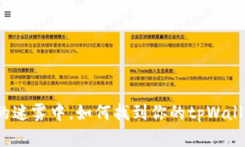 在金融世界的迷雾中,如何找到你的tpWallet转账记录?