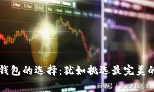 比特币钱包的选择:犹如挑选最完美的家常菜