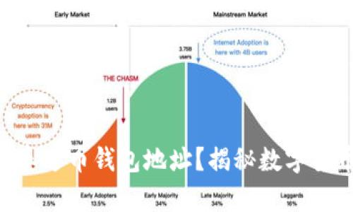 如何找到你的泰达币钱包地址?揭秘数字货币的“藏宝图”!