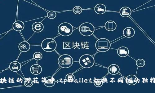 在区块链的万花筒中:tpWallet切换不同链的独特魅力