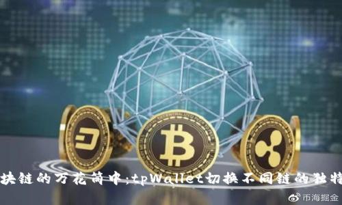 在区块链的万花筒中:tpWallet切换不同链的独特魅力