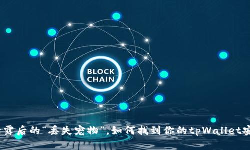 像密码泄露后的“丢失宠物”,如何找到你的tpWallet安全之路?