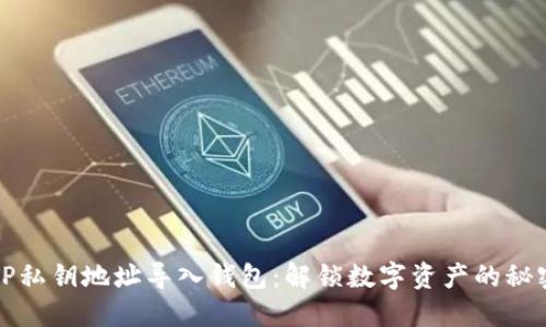 通过TP私钥地址导入钱包：解锁数字资产的秘密宝箱