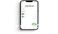 豆豆钱包：你的贴心财务管家，理财不再是难题