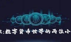 小狐狸与tpWallet：数字货币世界的两位小精灵，谁