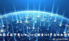苹果手机能不能下载tpWallet？探索iOS平台的加密钱
