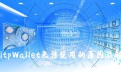bianotitpWallet无法使用的原因及解决方案